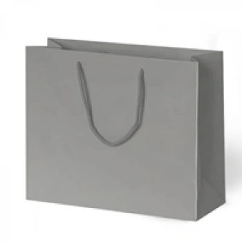 42x38x12 Karton Çanta 10lu -Gümüş-