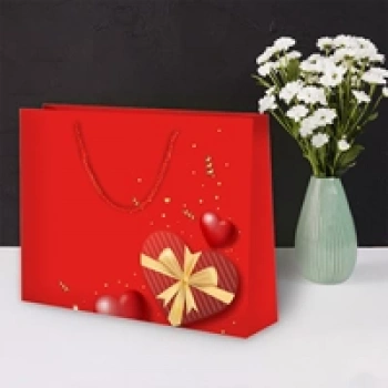 42x38x12 Valentine Karton Çanta 10lu -Kalp-