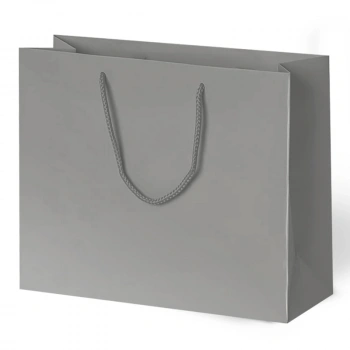 54x38x12 Karton Çanta 10lu -Gümüş-