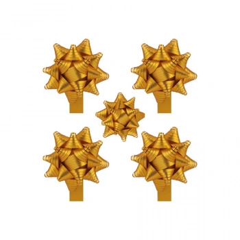 Kutup Yıldızı Hediye Paketi Süsü 24lü