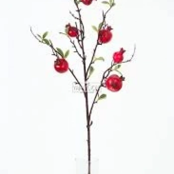 Uzun Stick Dal Yaprak Ve Narlı