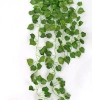 Yapay Sarmaşık Asma Yaprağı 210 cm 1 Dal