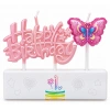 Happy birthday kelebek 2 parça mum