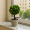 Dekoratif Mini Yapay Topiary – Plastik Saksılı – 10*10*20 cm