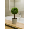 Dekoratif Mini Yapay Topiary – Plastik Saksılı – 10*10*20 cm