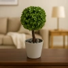 Dekoratif Mini Yapay Topiary – Plastik Saksılı – 10*10*20 cm