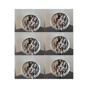 Paslanmaz Çelik 6 Adet Yuvarlak Lüx Desenli Gümüş AD-20 Kahve, Çay Sunum Servis Tepsisi