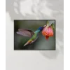 1. Nektar İçindeki Hummingbird Poster