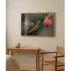 1. Nektar İçindeki Hummingbird Poster