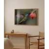 1. Nektar İçindeki Hummingbird Poster