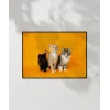 1. Renkli Kedi Üçlüsü Poster