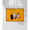 1. Renkli Kedi Üçlüsü Poster