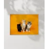 1. Renkli Kedi Üçlüsü Poster
