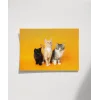 1. Renkli Kedi Üçlüsü Poster