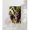 Üzüm Salkımı Duvar Poster