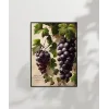 Üzüm Salkımı Duvar Poster