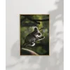 Ağaçta Tırmanan Koala Poster