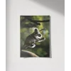 Ağaçta Tırmanan Koala Poster