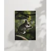 Ağaçta Tırmanan Koala Poster