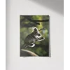 Ağaçta Tırmanan Koala Poster