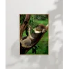 Ağaçta Uyuyan Koala Poster