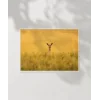 Altın Tarlada Geyik Poster