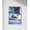 Battaniye Altındaki Kedi Poster