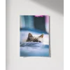 Battaniye Altındaki Kedi Poster
