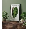 Benjamin Fawsett Calathea Veitchiana Poster