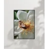 Çiçek Üzerinde Arı Poster