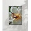 Çiçek Üzerinde Arı Poster