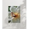 Çiçek Üzerinde Arı Poster