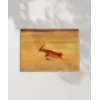 Çöl Antilobu Poster