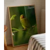 Dal Üzerinde Papağan Çifti Poster