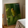 Dal Üzerinde Papağan Çifti Poster