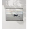 Deniz Kaplumbağası Poster