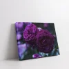 Mor Çiçek Kanvas Tablo