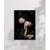 Flamingo Çifti Poster