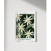 Japan Flower Market Poster