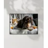 Kedi ve Köpek Dostluğu Poster