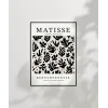 Matisse Papiers Découpés No 3 Poster