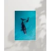 Mavi Denizde Yüzen Balinalar Poster