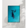 Mavi Denizde Yüzen Balinalar Poster