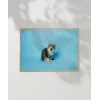 Mavi Fon Üzerinde Gri Kedi Poster