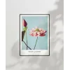 Ogawa Kazumasa Lotus Poster