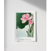 Ohara Koson Çiçek Açan Lotus Poster