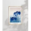 Ohara Koson İris Çiçekleri Poster