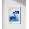 Ohara Koson İris Çiçekleri Poster