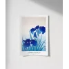 Ohara Koson İris Çiçekleri Poster