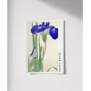 Ohara Koson Mavi Irisler Poster